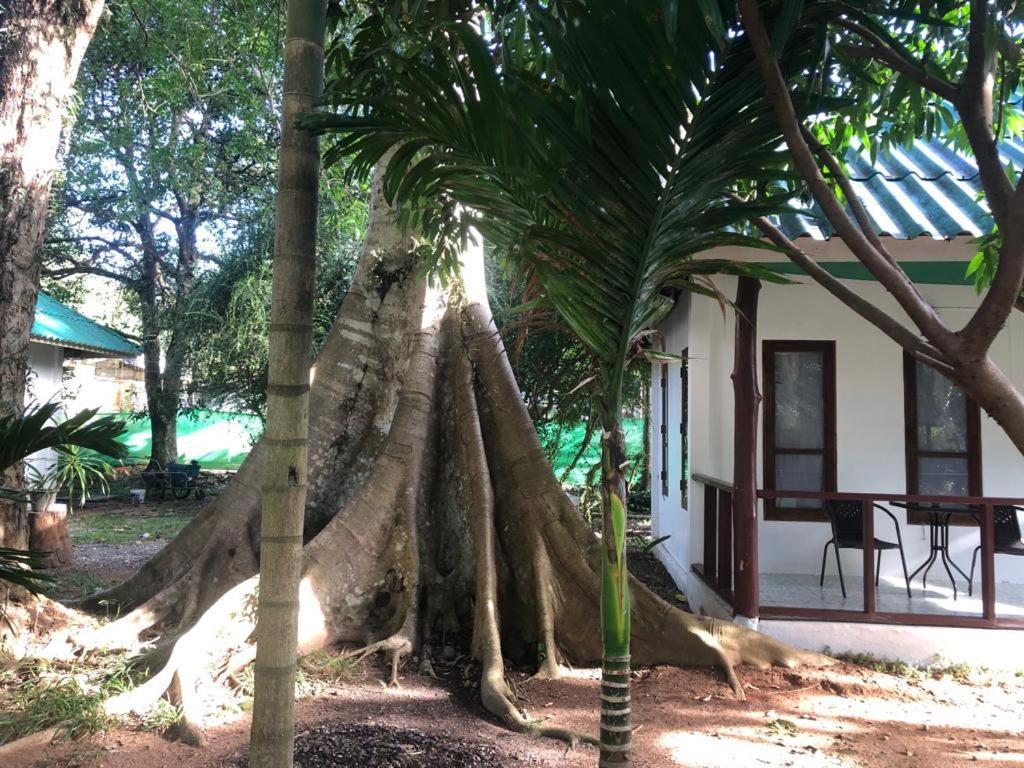 Tropical Paradise Leelawadee Resort Ко Чанг Екстериор снимка